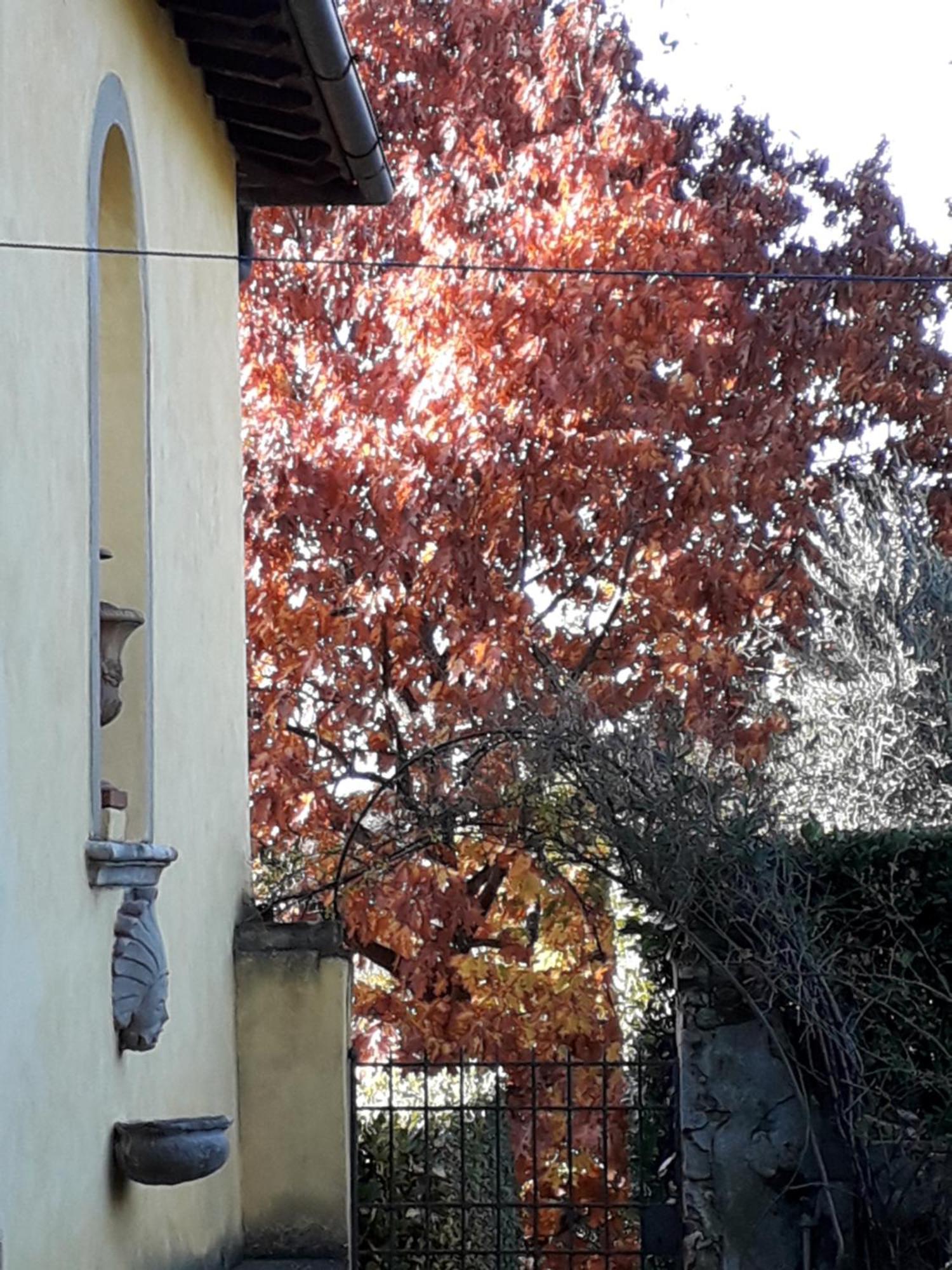 Villa Le Pergole- Firenze Exteriör bild